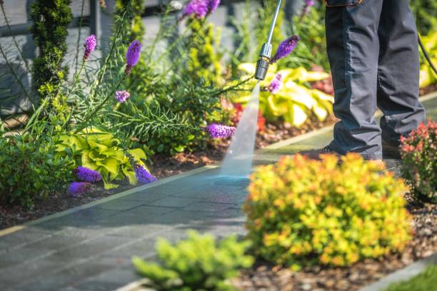 Reliable Amsterdam, NY Pressure Washing Solutions