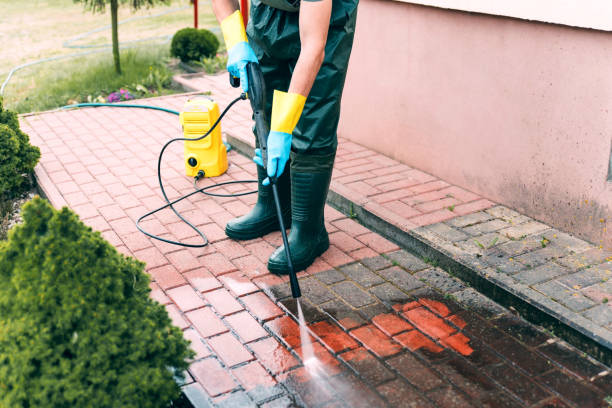 Best Driveway Pressure Washing  in Amsterdam, NY